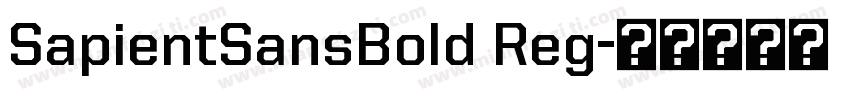 SapientSansBold Reg字体转换